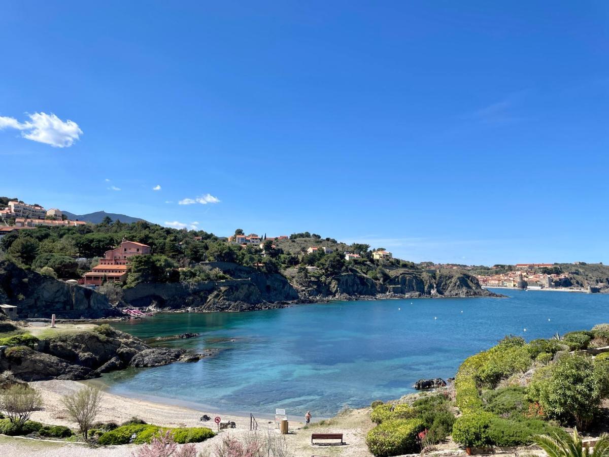 Splendide Appartement Climatise Avec Vue Sur Mer Et Clocher - Parking Et Wifi Collioure Bagian luar foto