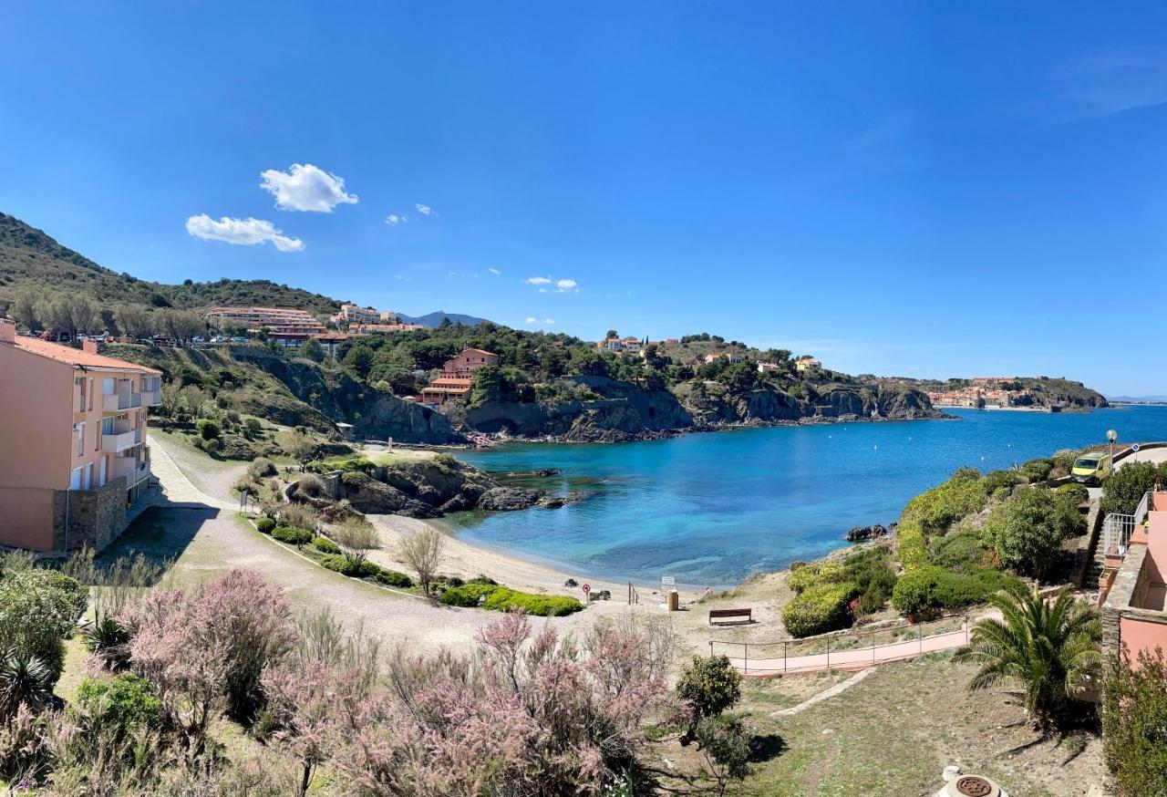 Splendide Appartement Climatise Avec Vue Sur Mer Et Clocher - Parking Et Wifi Collioure Bagian luar foto