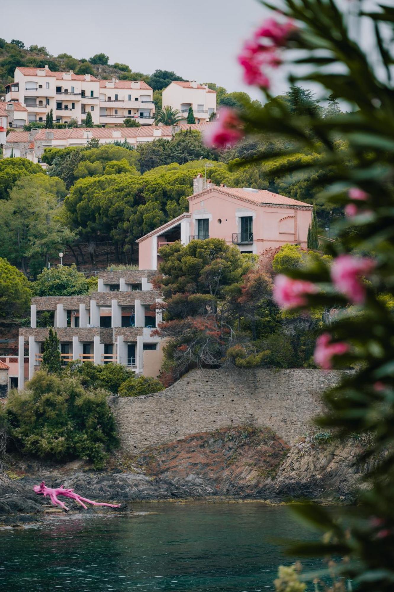 Splendide Appartement Climatise Avec Vue Sur Mer Et Clocher - Parking Et Wifi Collioure Bagian luar foto